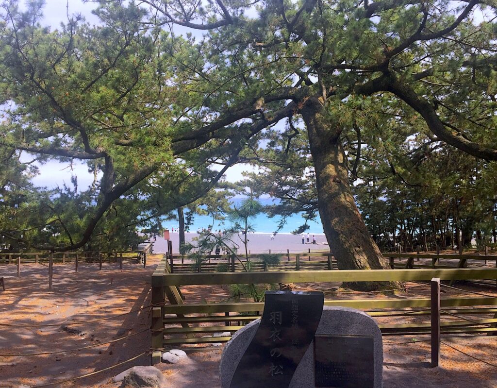 静岡観光へ