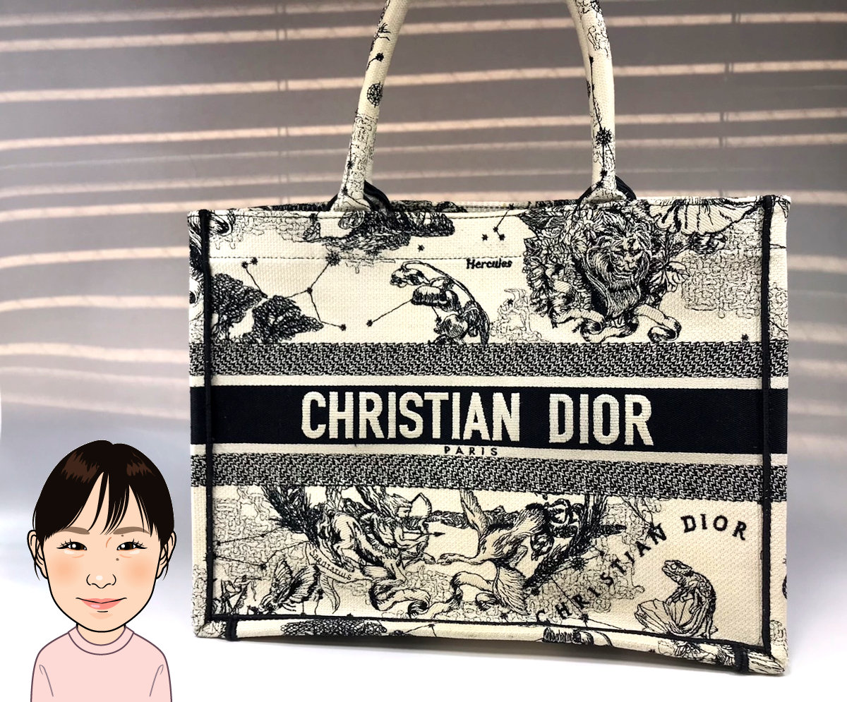 C.Dior 【クリスチャンディオール】 ブックトート トートバッグ 画像1