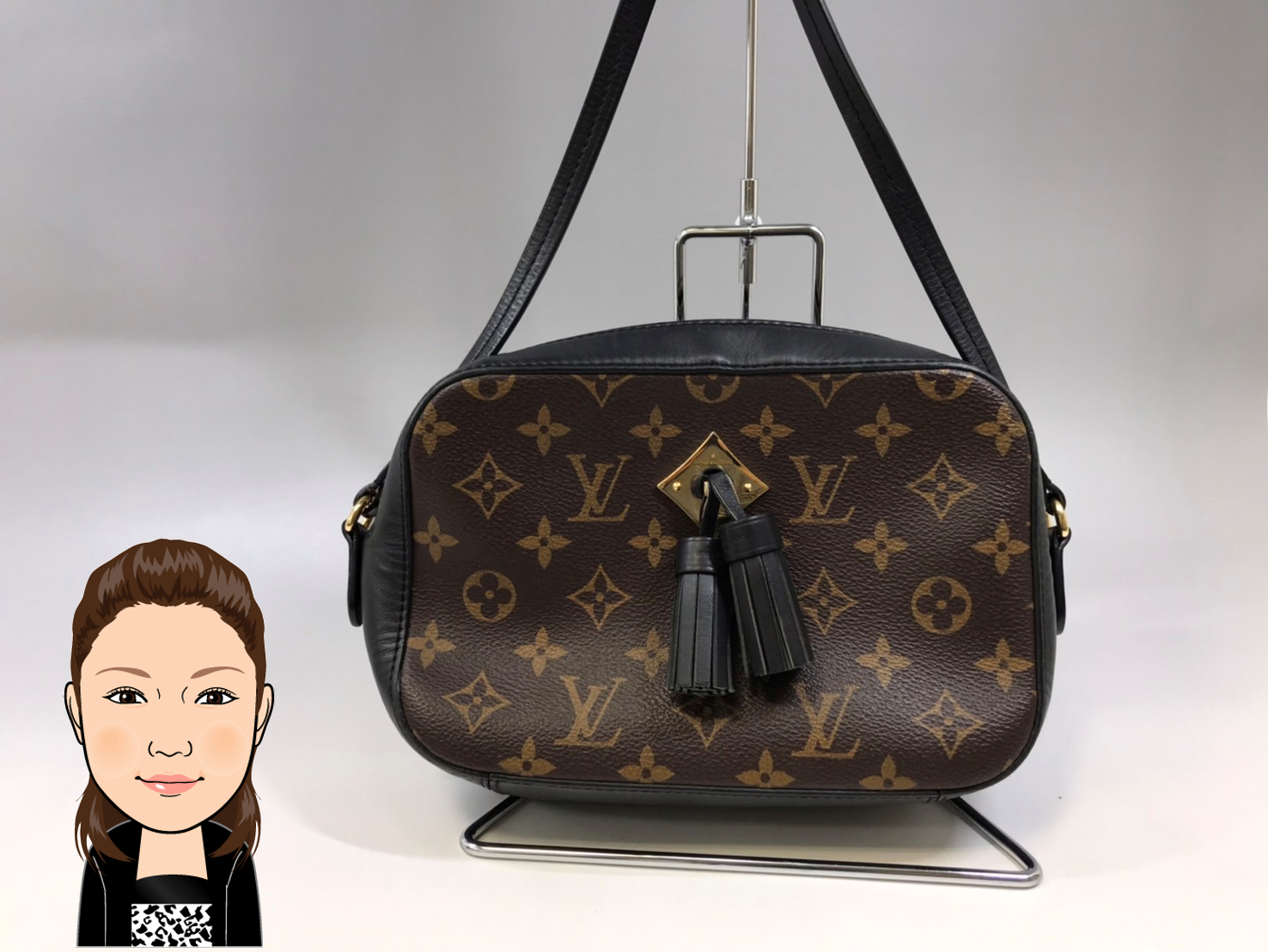 LOUIS VUITTON 【ルイヴィトン】 モノグラムマカサー サントンジュ M43555 画像1