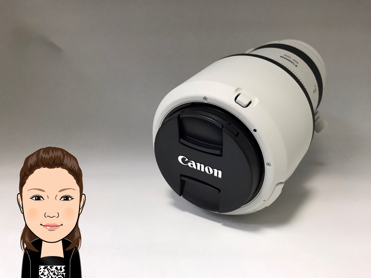 Canon 【キャノン】 EF100-500mm F4.5-7.1 望遠ズームレンズ カメラ 画像1