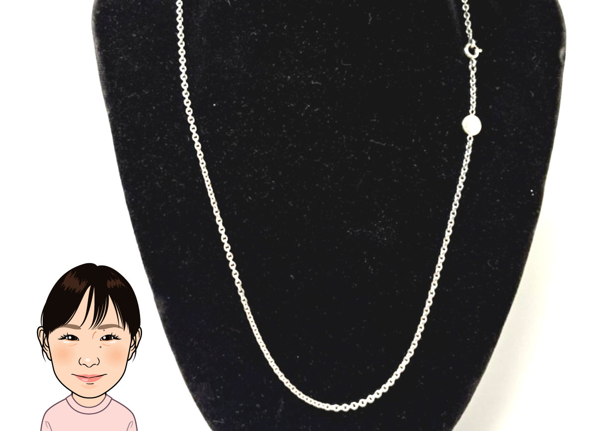 HERMES 【エルメス】 シルバー セリエ ネックレス 画像1