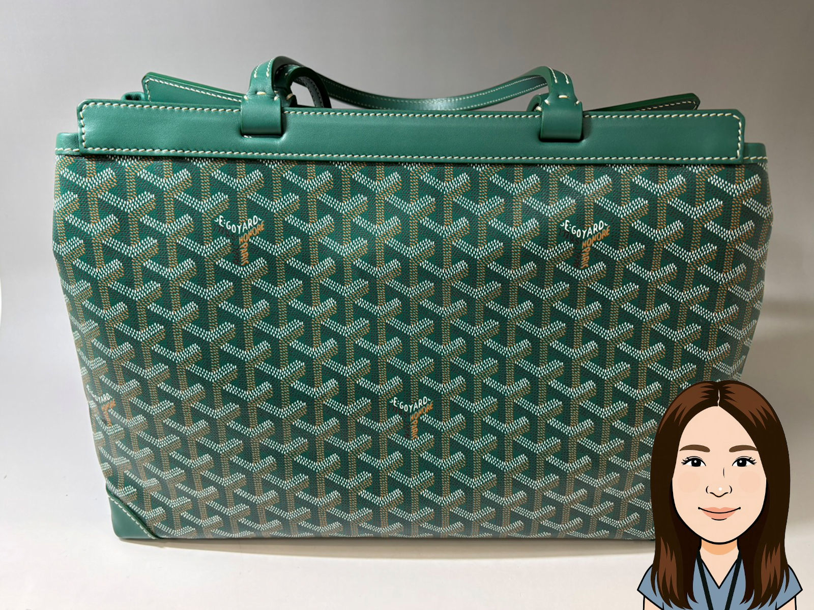 GOYARD【ゴヤール】 ベルシャス ビヨードPM トートバッグ 画像1