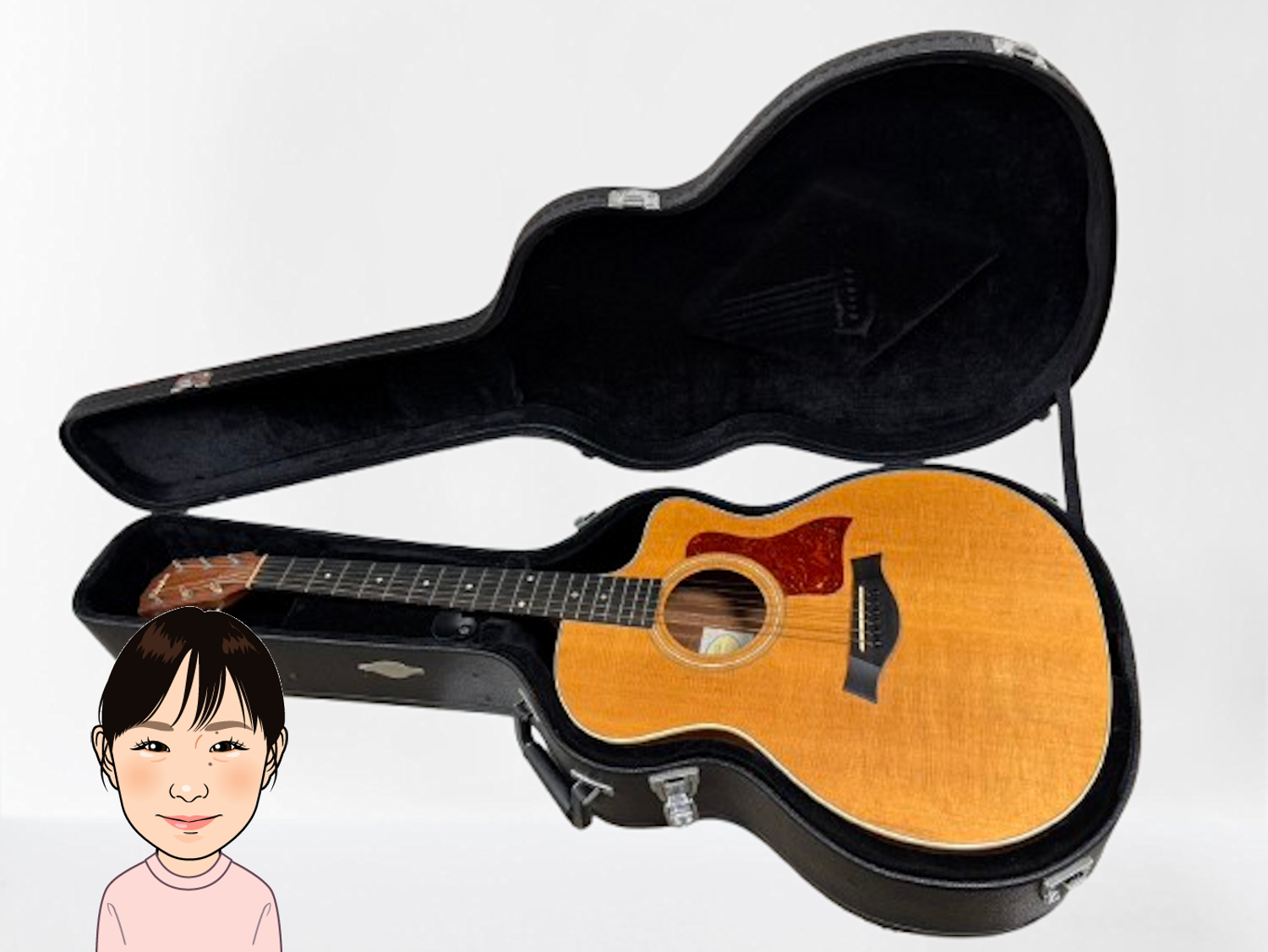 Taylor 【テイラー】 アコースティックギター 214ce 画像1