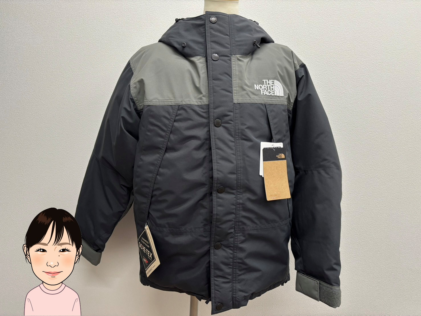 THE NORTH FACE 【ザノースフェイス】 マウンテンダウンジャケット 画像1