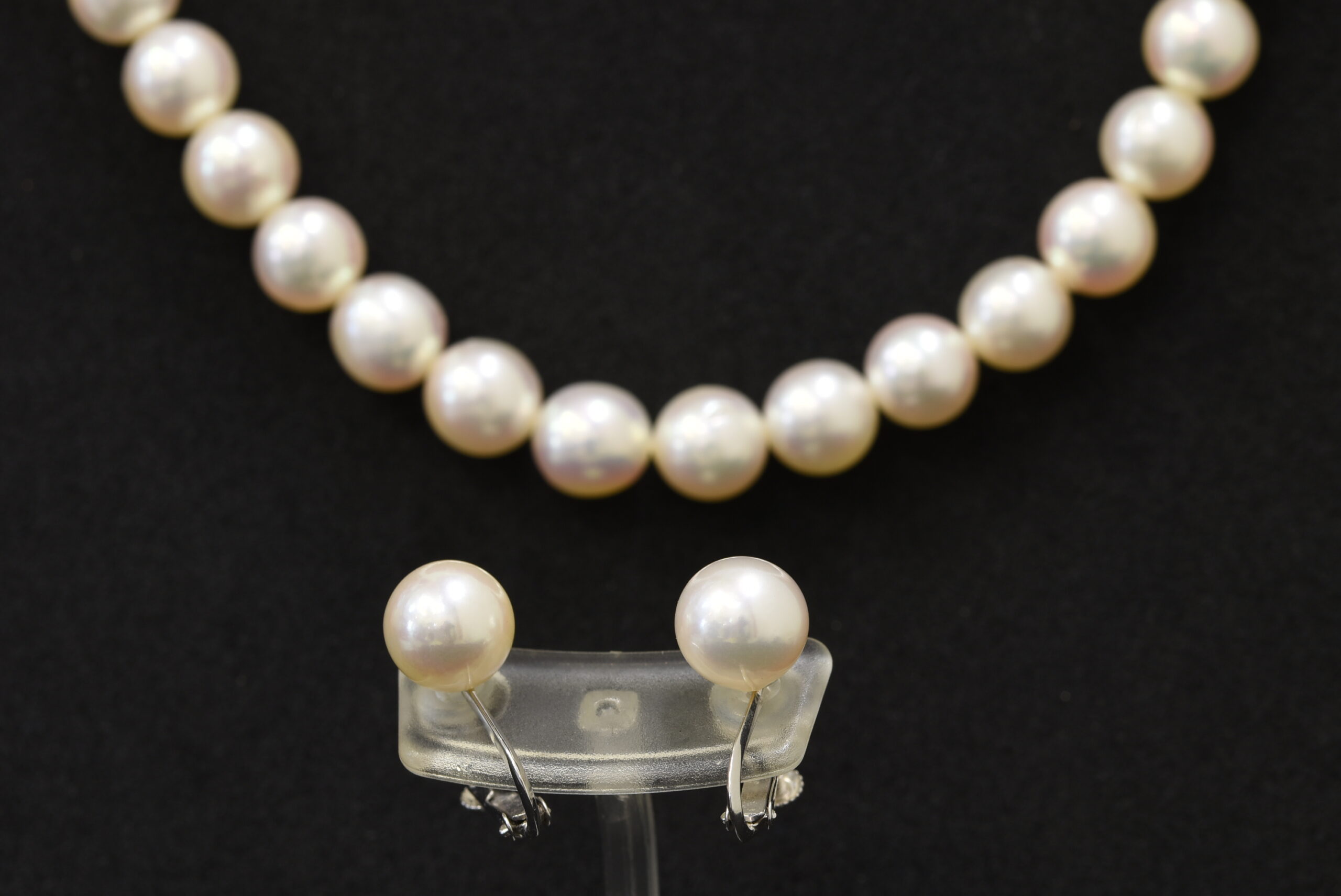 パールセット 画像1