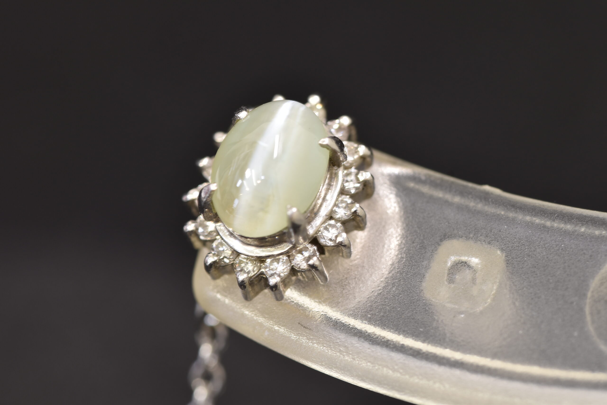 タイタック 画像1