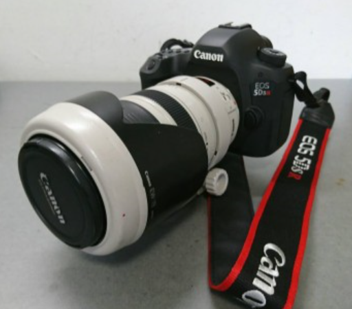 キャノンボディー EOS 5Dsr キャノンES-S F4-5.6レンズ付き 画像1