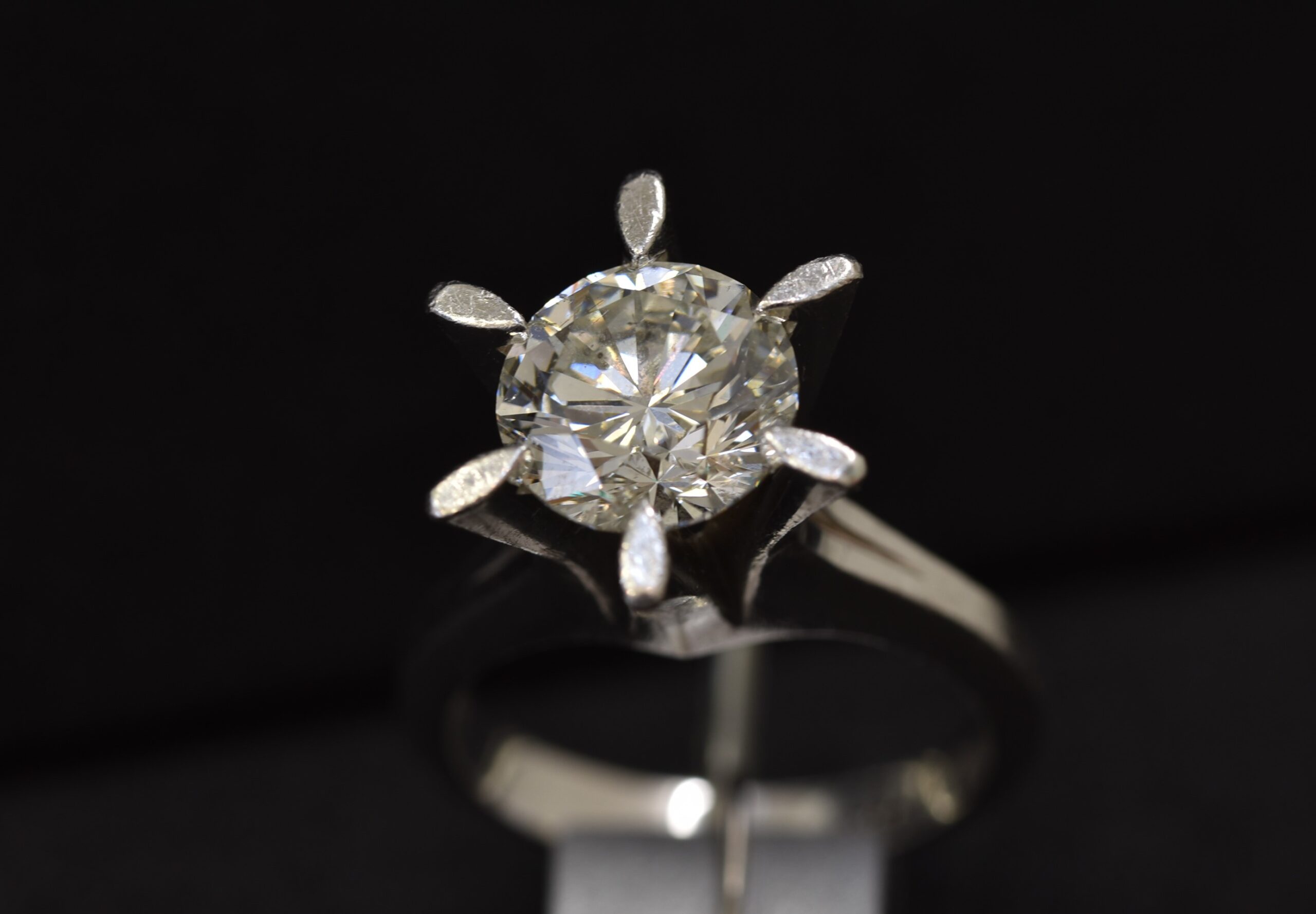 立爪の指輪 画像1