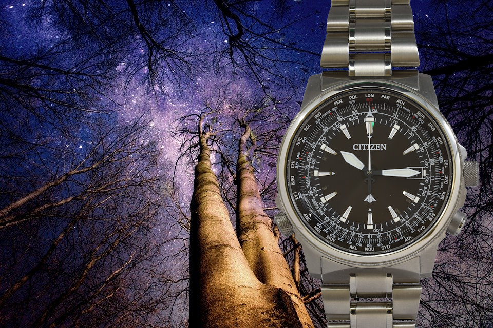 CITIZEN【シチズン】 H145-T019391 | 大阪の質屋 タチバナ屋