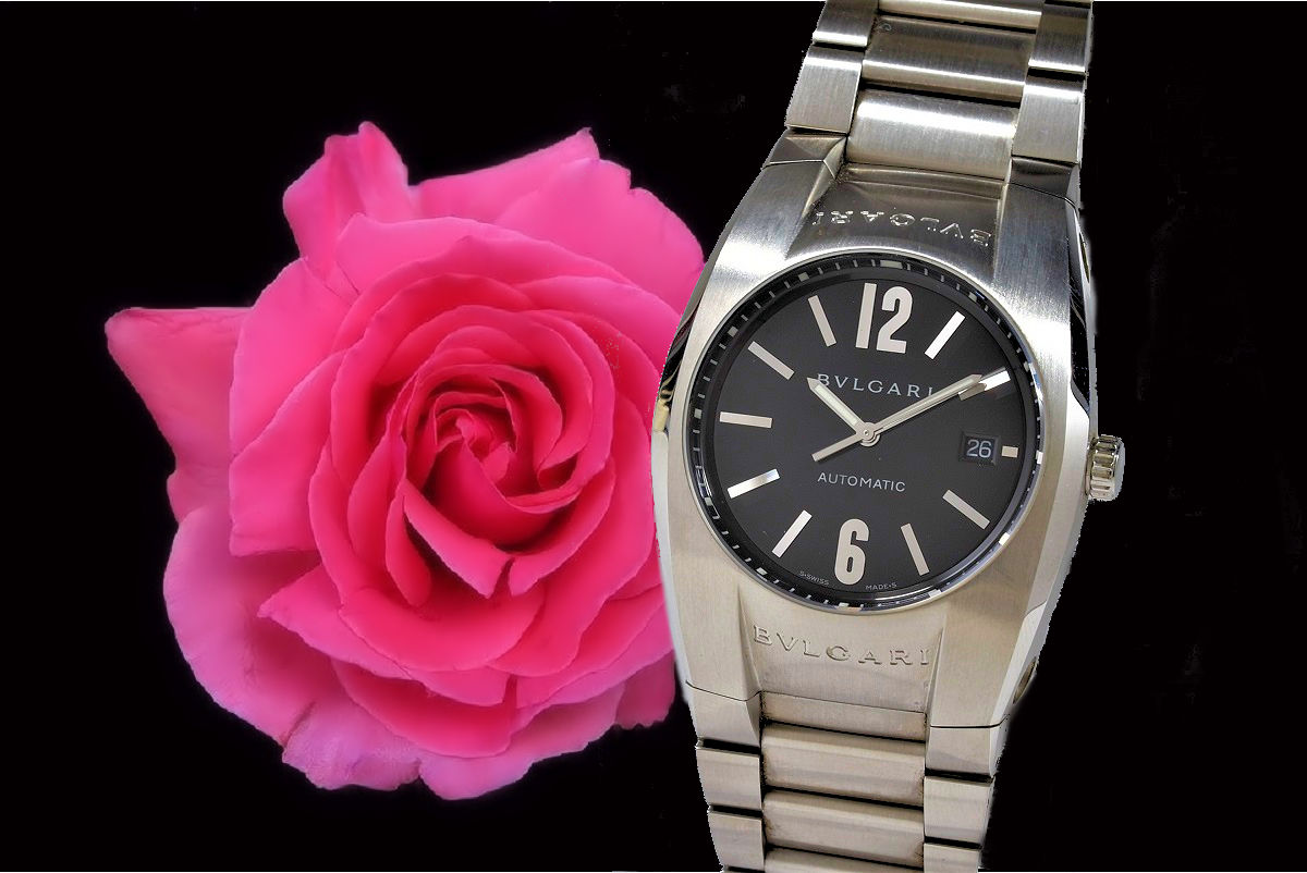 BVLGARI【ブルガリ】エルゴン EG40S 画像1