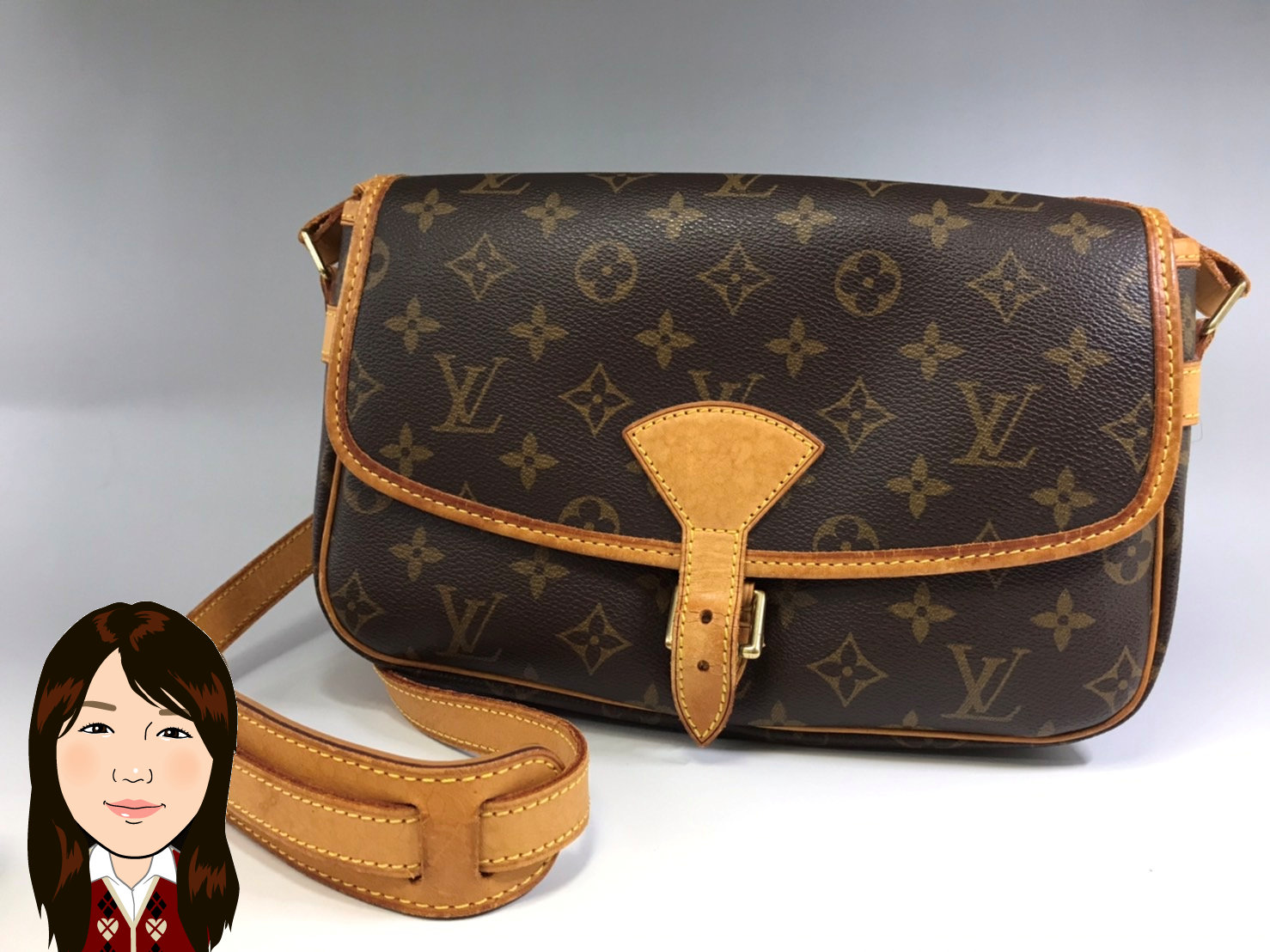 LOUIS VUITTON 【ルイヴィトン】 モノグラム ソローニュ M42250 画像1